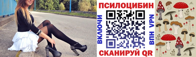 Псилоцибиновые грибы Cubensis  shop Telegram  Ермолино 
